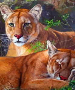 Lions Animals paint by numbers