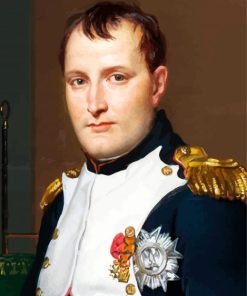 Napoleon Art paint by numbers