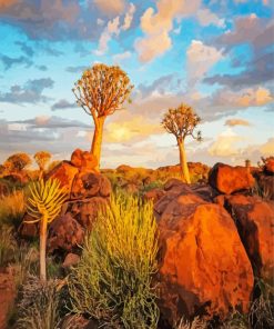 Aloe Dichotoma Trees Namibia paint by number