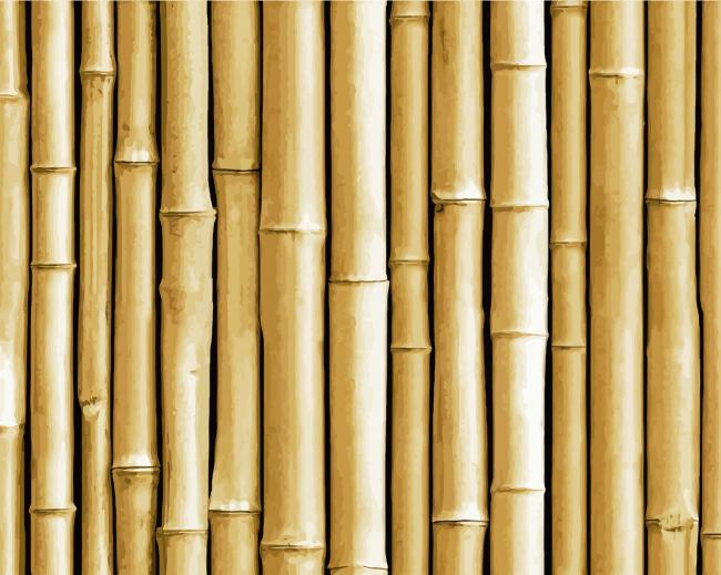 Bamboo Wood paint by numbers