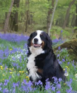 Bernese Mountain Dog And Purple Flowers paint by number