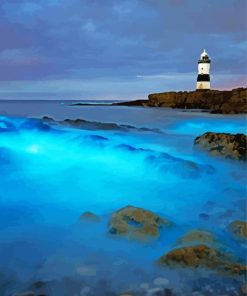 Bioluminescent Waves Anglesey paint by number