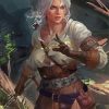 Ciri Witcher Illustration paint by number
