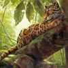 Clouded Leopard paint by numbers