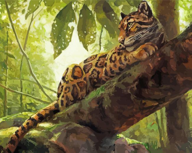 Clouded Leopard paint by numbers
