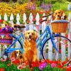 Cute Dogs Animals paint by numbers