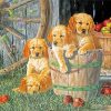 Cute Puppies paint by numbers