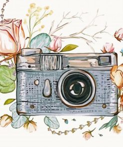 Cute Retro Camera paint by number