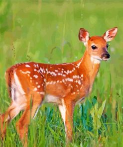 Doe Deer paint by number
