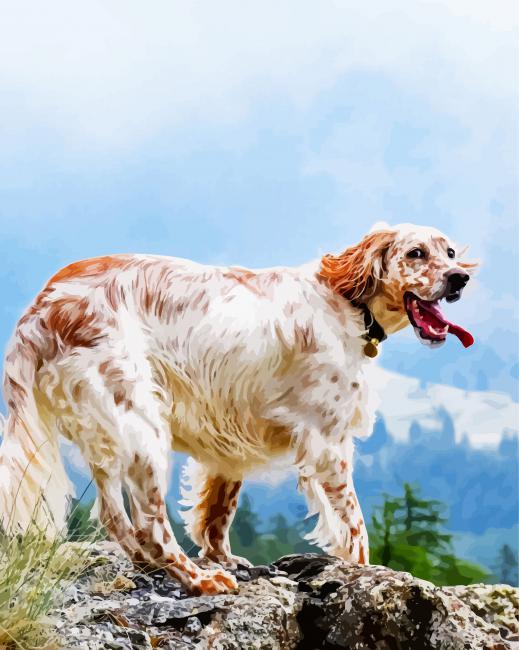 English Setter Dog Breed paint by number