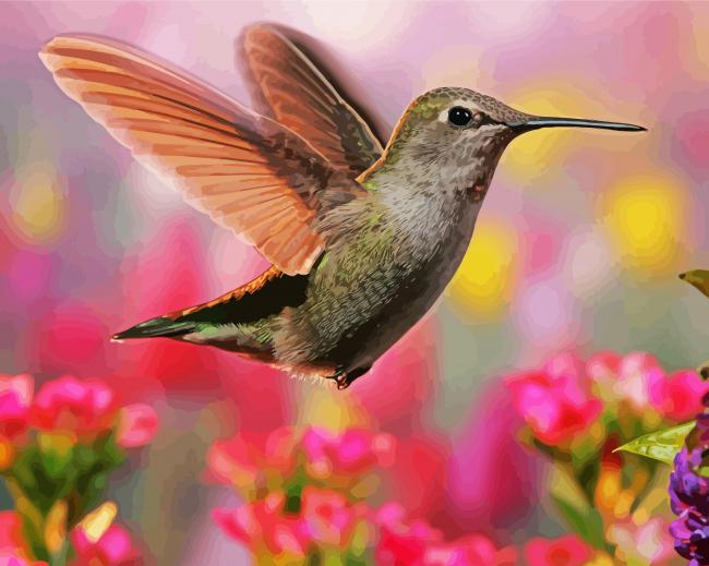 Flying Beautiful Hummingbird paint by number