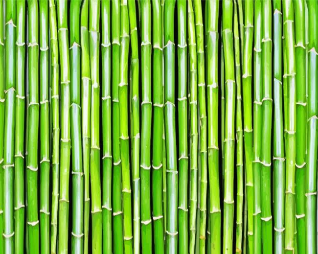 Green Bamboo Plants paint by numbers