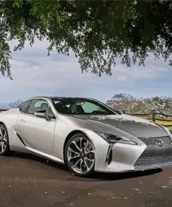 Grey Lexus LC paint by numbers
