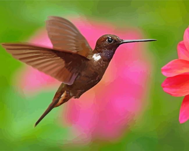 Hummingbird Animal And Flower paint by numbers