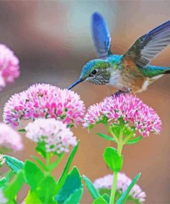 Hummingbird And Flowers paint by number