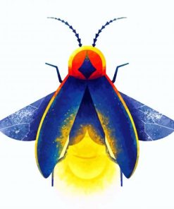 Insect Firefly Art paint by numbers