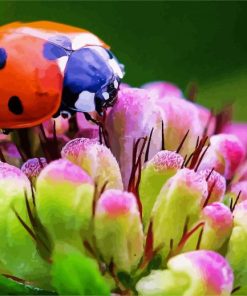 Ladybeetle On Flowers paint by numbers