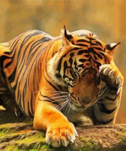 Lonely Tiger Animal paint by numbers