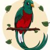 Long Tailed Quetzal Art paint by numbers