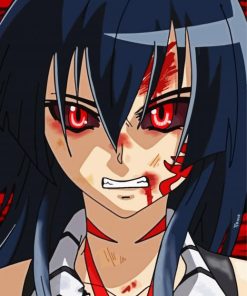 Mad Akame paint by number