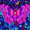 Mandala Butterfly paint by number