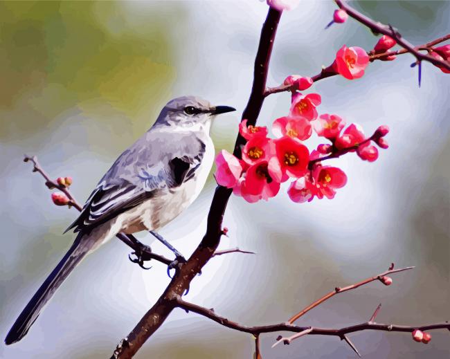 Mockingbird And Blossoms paint by number