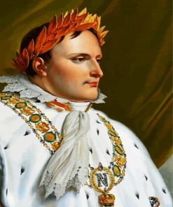 Napoleon paint by numbers