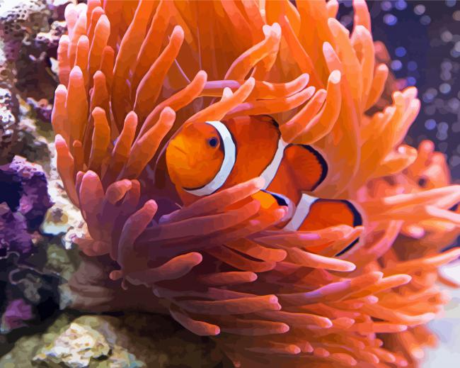 Orange Anemones And Clown Fish paint by number