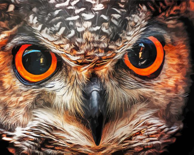 Owl Eye paint by numbers