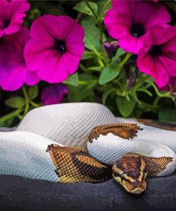 Python Snake And Petunia Flower paint by number