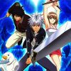 Rave Master Anime paint by number