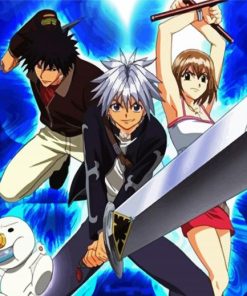 Rave Master Anime paint by number