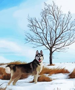 Snow Husky paint by number