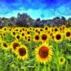 Sunflowers Van Gogh paint by number
