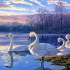 Swans On Lake paint by number