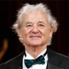The American Actor Bill Murray paint by number