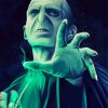 The Villain Voldemort Illustration paint by number
