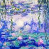 Water Lillies Art By Claude Monet paint by numbers