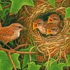 Wren Nest With Chicks paint by number