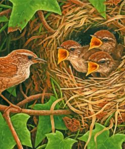 Wren Nest With Chicks paint by number