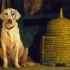 A Dog By Jamie Wyeth paint by numbers