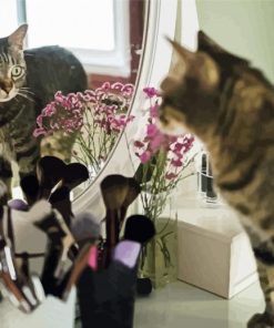 Adorable Cat Reflection On Mirror paint by numbers