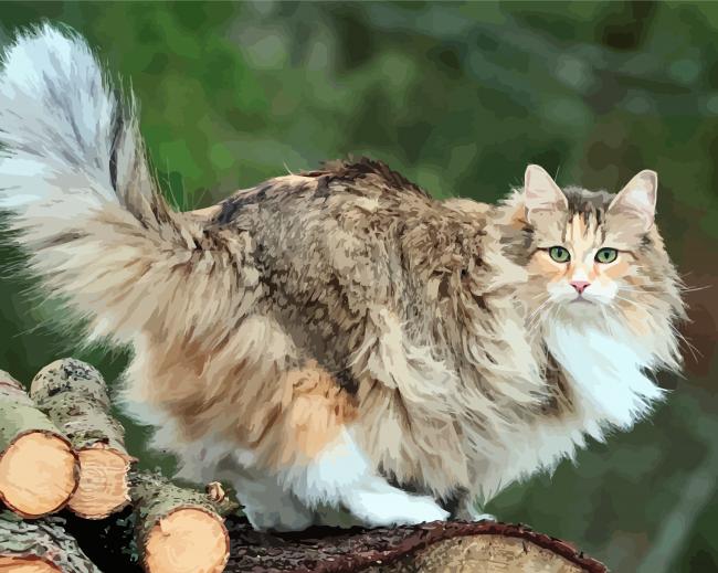 Adorable Norwegian Forest Cat paint by numbers