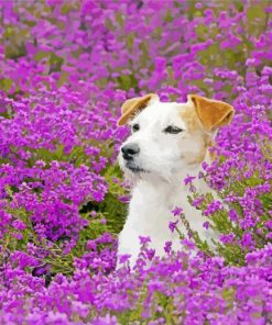 Adorable Puppy In Flowers Field paint by numbers