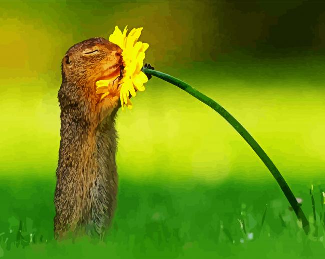 Adorable Squirrel Flower paint by numbers