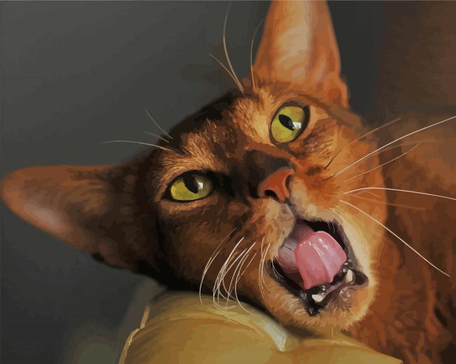 Cool Abyssinian Cat paint by numbers