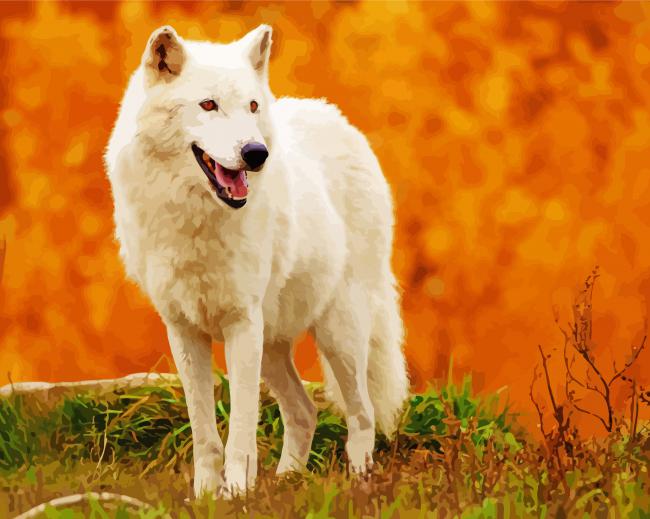 Aesthetic Arctic Wolf Animal paint by number