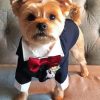 Cute Dog With Suit paint by numbers