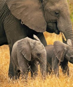 Cool Elephant And Two Babies paint by numbers