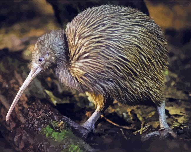 Aesthetic Kiwi Bird paint by number
